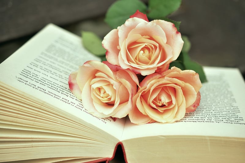 Literary Adventure